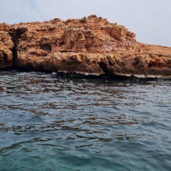 Snorkeling & Boat Tours in Muscat, BlueWave Oman, BlueWave Oman
